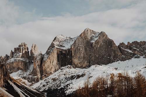 mountain rocky mountains near pine trees nature